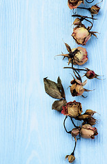 Image showing Border of Withered Roses