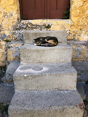 Image showing cat sleeping on stairs