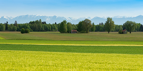 Image showing Panoramic scenic Alpine view with fresh spring meadows and snowy