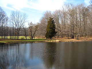 Image showing Quiet Pond