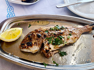 Image showing freshly grilled fish