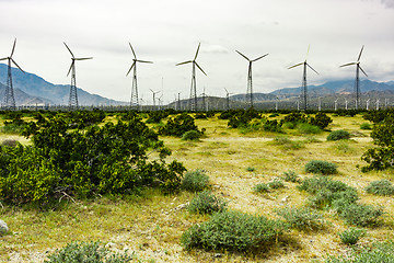 Image showing Dramatic Wind Turbine Farm in the Desert of California.