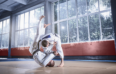 Image showing Two judo fighters showing technical skill while practicing martial arts in a fight club