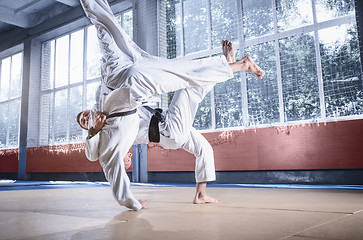 Image showing Two judo fighters showing technical skill while practicing martial arts in a fight club