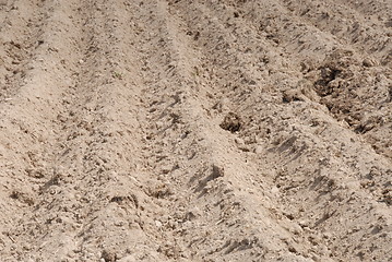 Image showing Tillage