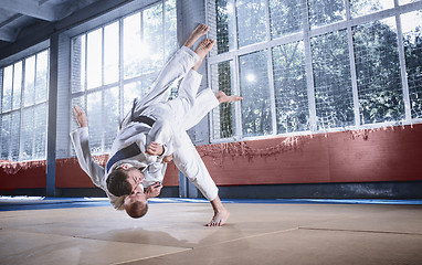 Image showing Two judo fighters showing technical skill while practicing martial arts in a fight club