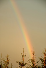 Image showing rainbow