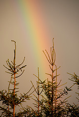 Image showing rainbow