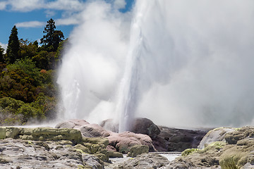 Image showing Geyser in New Zealand Rotorua