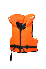 Image showing Lifevest