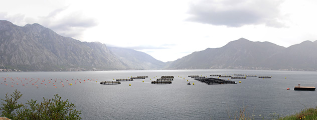 Image showing Fish Farming Montenegro