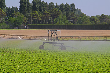 Image showing Water Irrigation