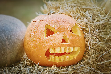 Image showing Pumpkin on a Hay