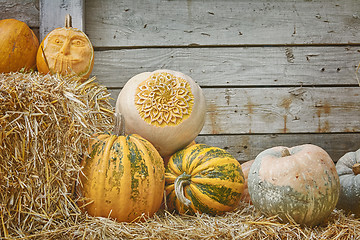 Image showing Pumpkins on a Hay