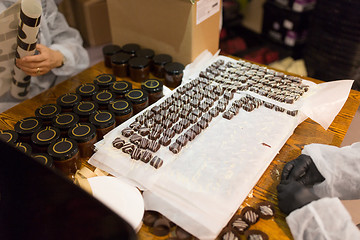 Image showing workers at confectionery shop packing candies