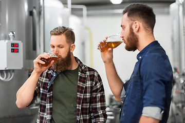 Image showing men drinking and testing craft beer at brewery