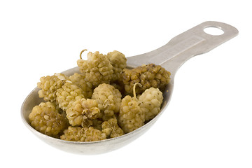 Image showing tablespoon of dried mulberry fruits