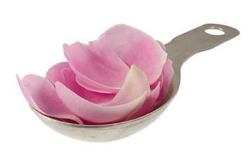 Image showing pink rose petals on measuring tablespoon