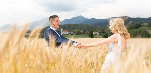 Image showing Groom and bride holding hands in wheat field somewhere in Slovenian countryside.