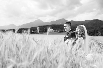 Image showing Bride hugs groom tenderly in wheat field somewhere in Slovenian countryside.