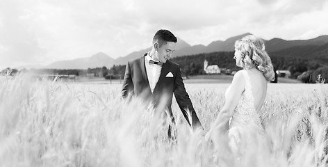 Image showing Groom and bride holding hands in wheat field somewhere in Slovenian countryside.