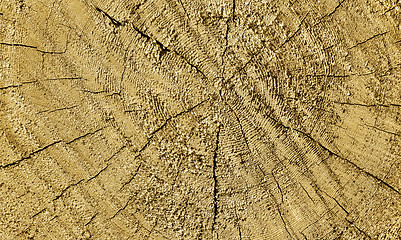 Image showing Natural wooden texture with rings and cracks pattern