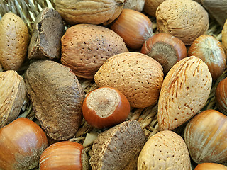 Image showing Mix of different types nuts