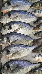 Image showing Dorado fish on ice for sale at the market