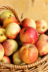 Image showing Bright tasty ripe apples in a basket