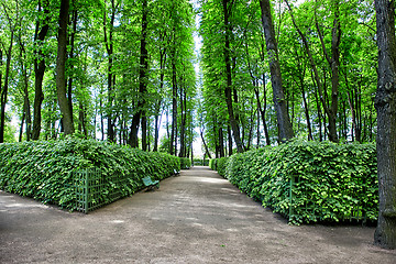 Image showing Summer Garden, Saint Petersburg