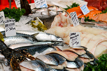 Image showing Fish Assortment