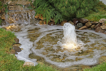 Image showing Garden Pond