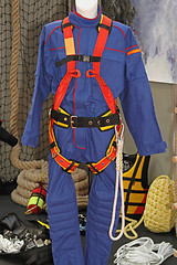 Image showing Safety Harness