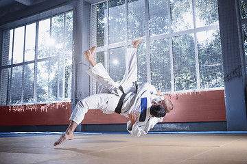 Image showing Two judo fighters showing technical skill while practicing martial arts in a fight club