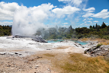 Image showing Geyser in New Zealand Rotorua