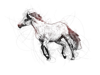 Image showing Great Horse Ballpoint Pen Doodle Illustration