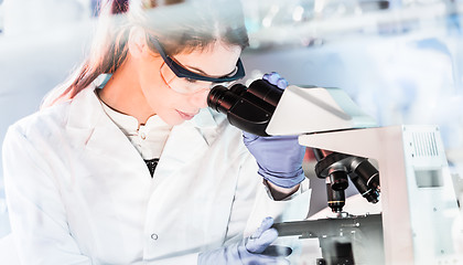 Image showing Female health care researchers working in scientific laboratory.