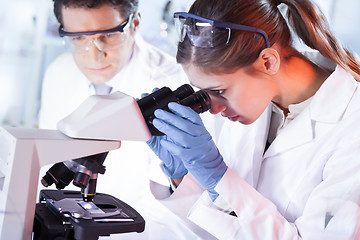 Image showing Young researchers researching in life science laboratory.