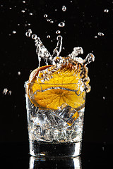 Image showing Glass, Orange, Ice And Splashes