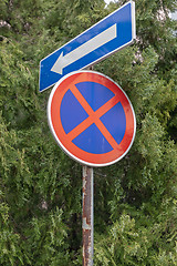 Image showing Overgrown Traffic Sign