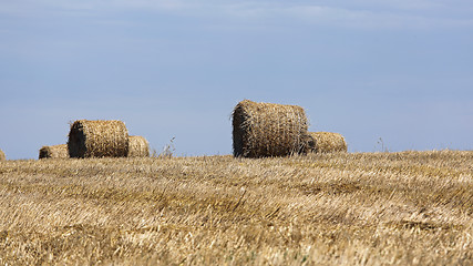 Image showing Hay Bales