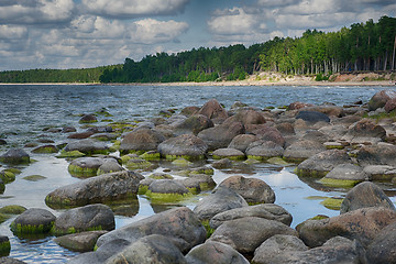 Image showing Baltic sea coast in summer vacation