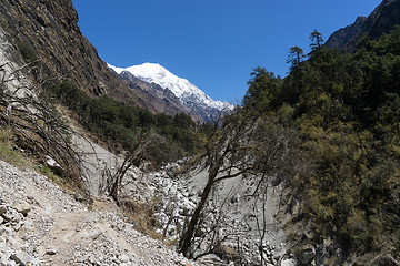 Image showing Nepal trekking in Langtang valley