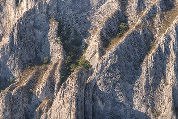 Image showing Cliff texture