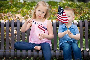 Image showing Young Sister and Brother Comparing Each Others American Flag Siz
