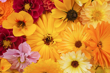 Image showing Flower arrangement of calendulas, rudbeckia, nasturtium, dahlias