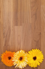 Image showing Orange, cream and yellow calendula flowers on wood