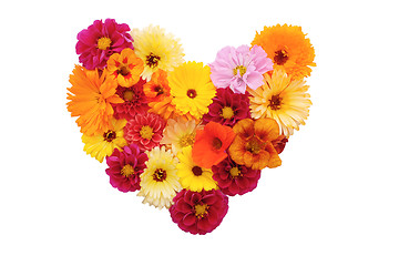 Image showing Mixed flowers in a heart shape on white