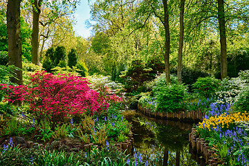 Image showing Keukenhof flower garden. Lisse, the Netherlands.