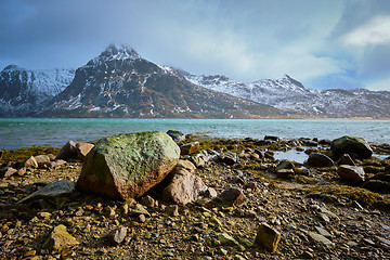 Image showing Fjord in Norway, Lofoten islands